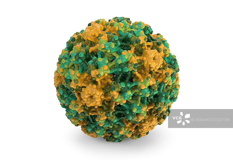 人乳头瘤病毒插图图片素材