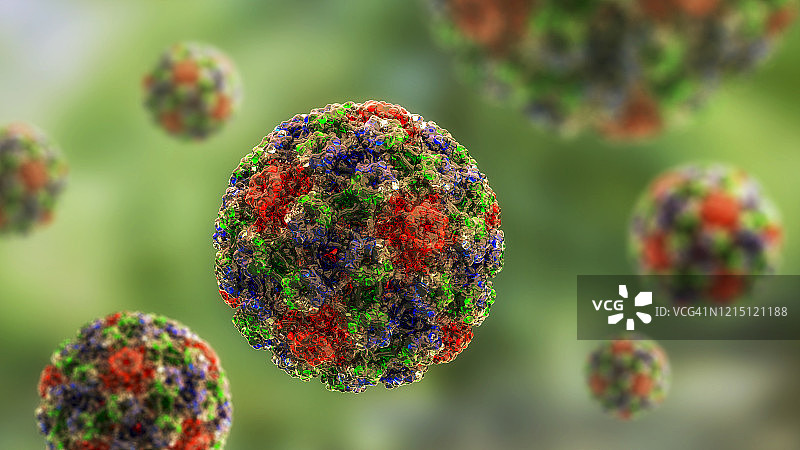 人乳头瘤病毒插图图片素材