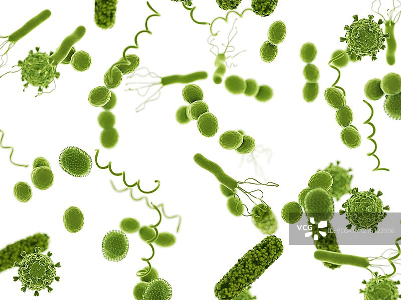 细菌和病毒插图图片素材