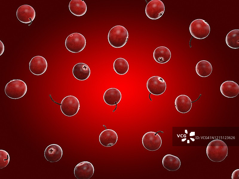 蔓越莓插画图片素材