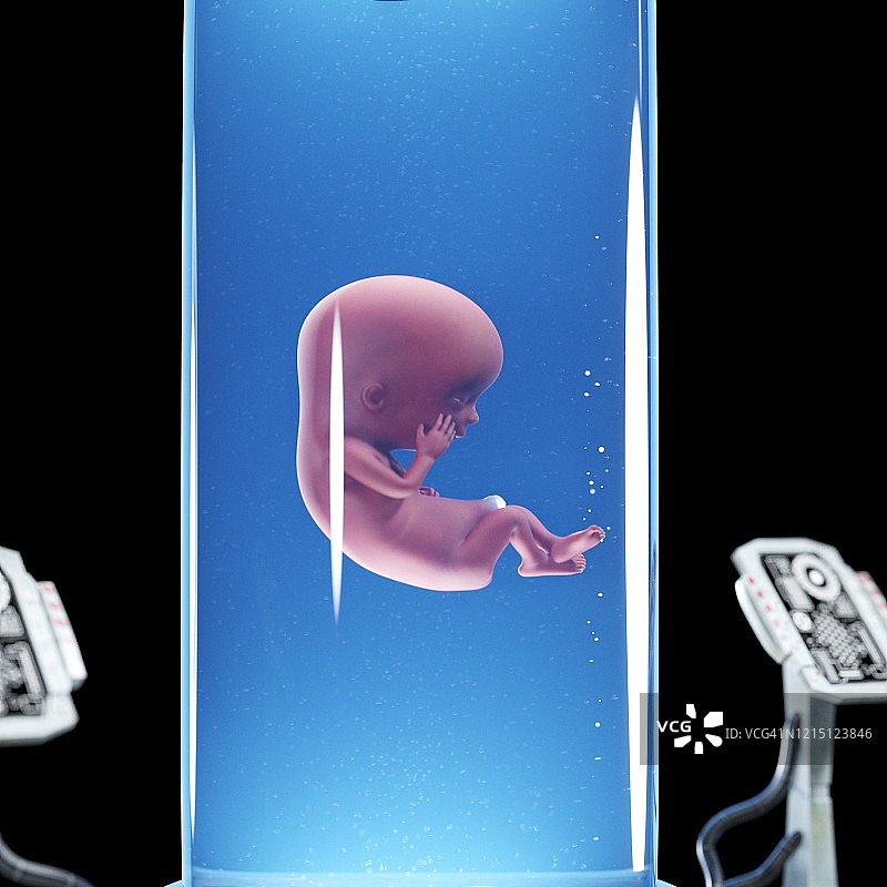 罐中的胎儿插图图片素材