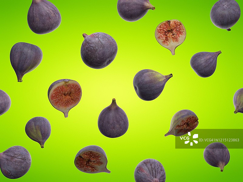 无花果插画图片素材