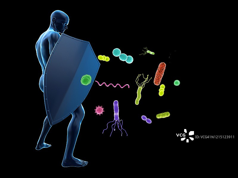 免疫系统概念插画图片素材