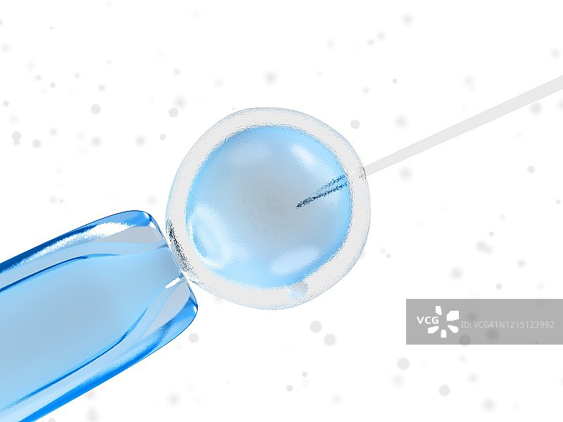 体外受精示意图图片素材