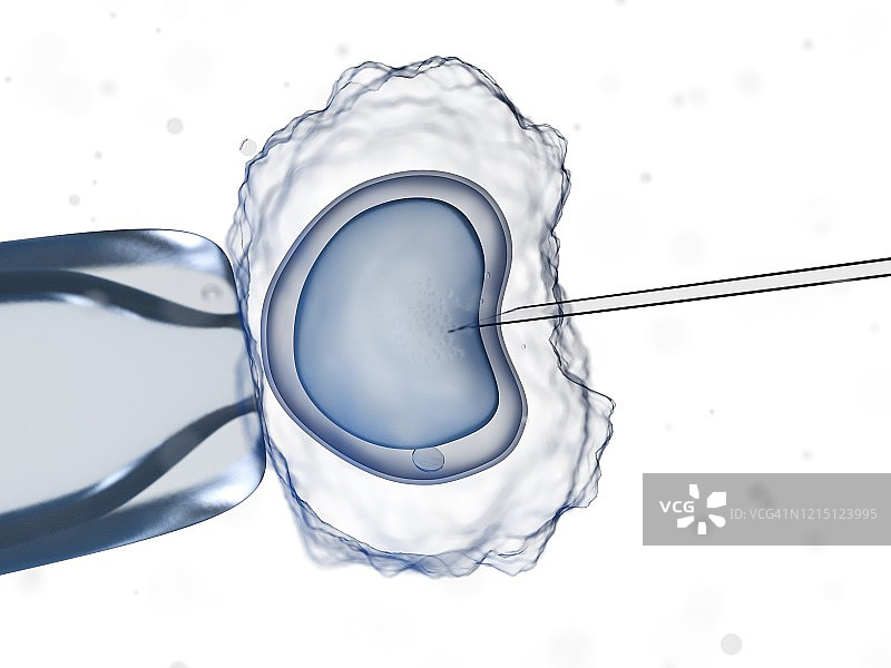 体外受精示意图图片素材