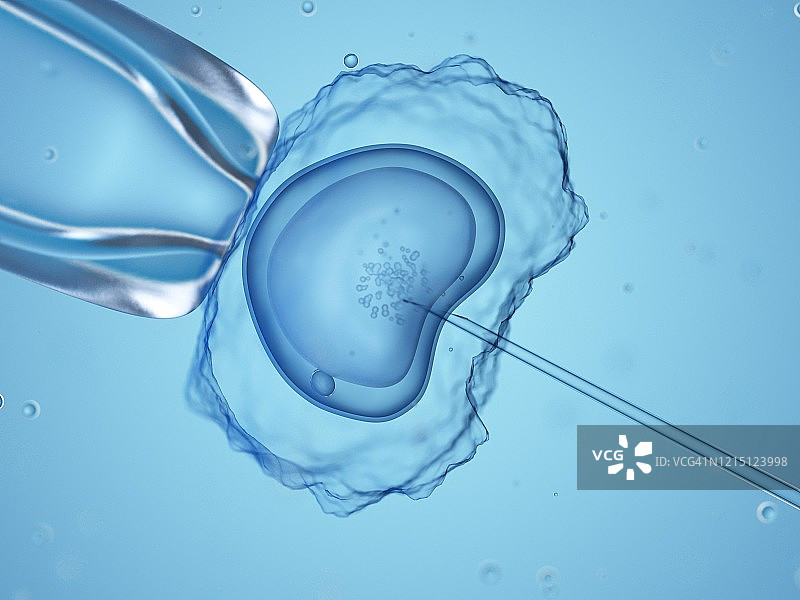 体外受精示意图图片素材