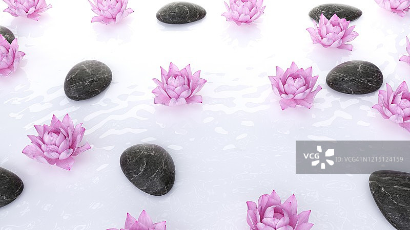 荷花与石头插画图片素材