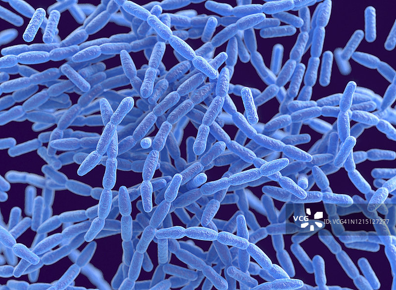 炭疽杆菌图示图片素材