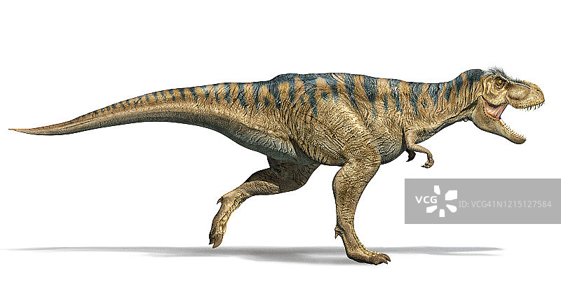 奔跑的霸王龙插画图片素材