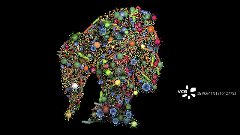 皮肤菌群概念图图片素材