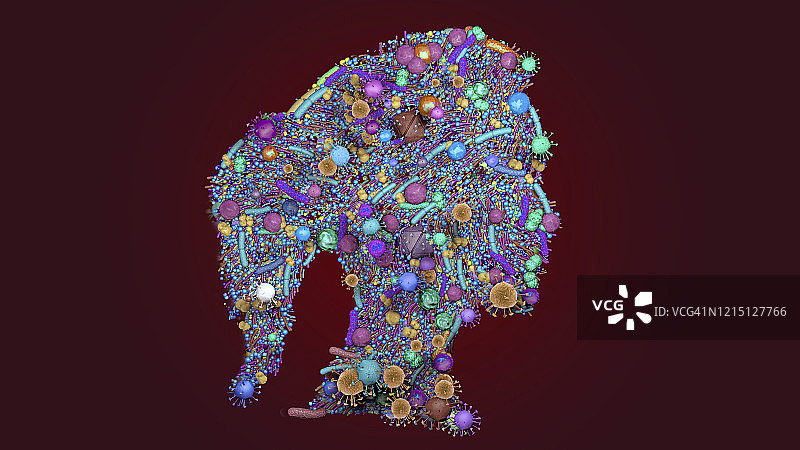 皮肤菌群概念图图片素材