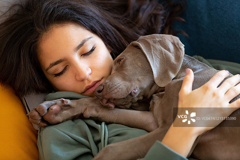 年轻女人和小魏玛犬在沙发上小睡图片素材