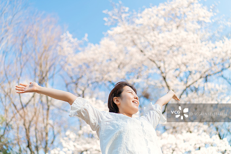 年轻女子在樱花树下伸展双臂图片素材
