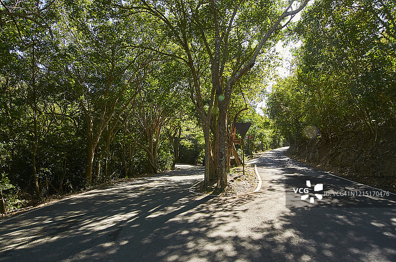 美属维尔京群岛圣约翰蜿蜒的道路图片素材