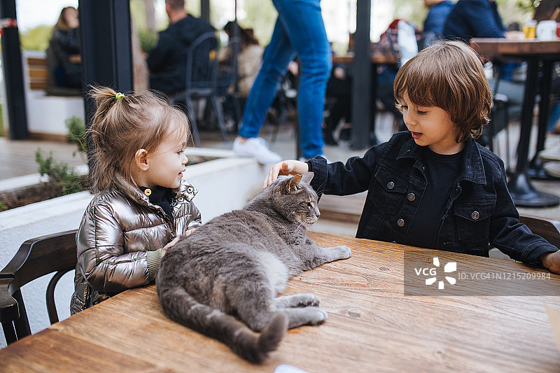 孩子们在咖啡馆和猫玩耍，儿童与宠物图片素材