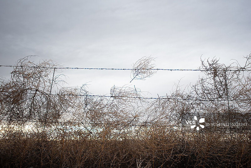 阿尔伯克基阿蒂斯科Vista Blvd图片素材