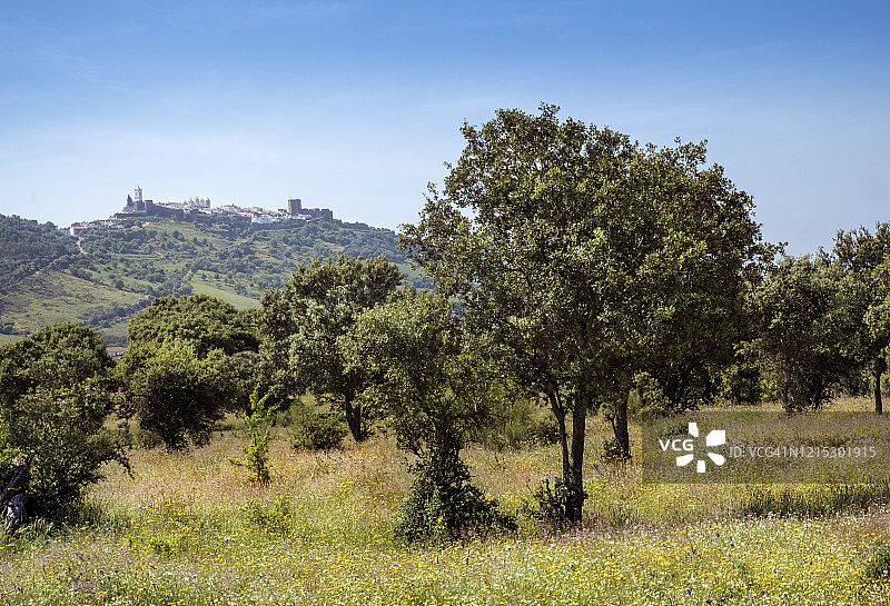 透过林地看蒙萨拉斯中世纪村庄图片素材