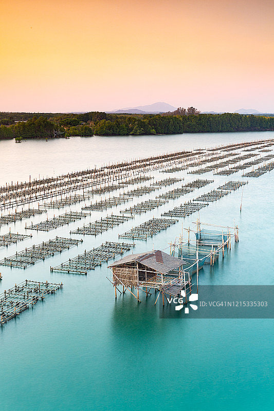 尖竹汶府海景（考老星森林公园）- 尖竹汶河口的牡蛎养殖图片素材