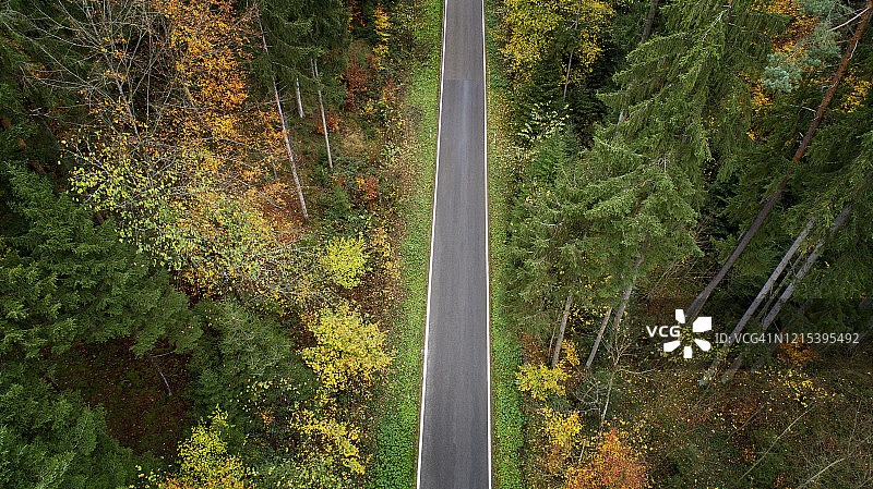 德国秋季森林公路航拍景色图片素材
