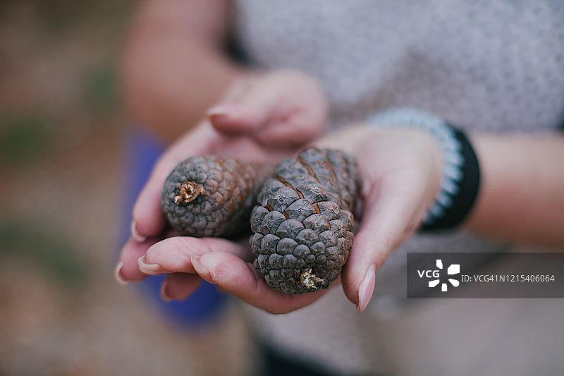年轻女子拿着两个松果的特写图片素材