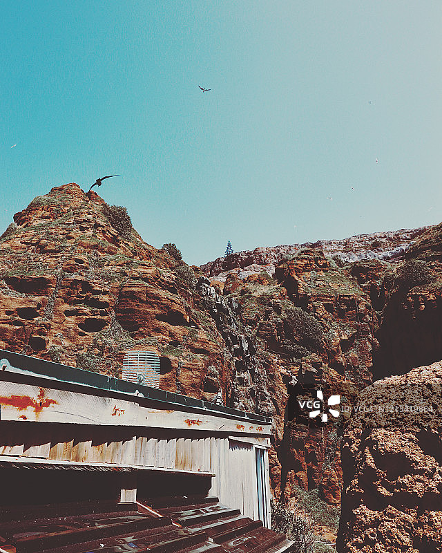 诺福克岛上的天堂图片素材