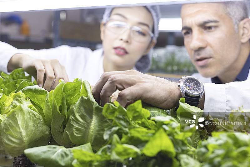 植物研究科学家，植物研究图片素材