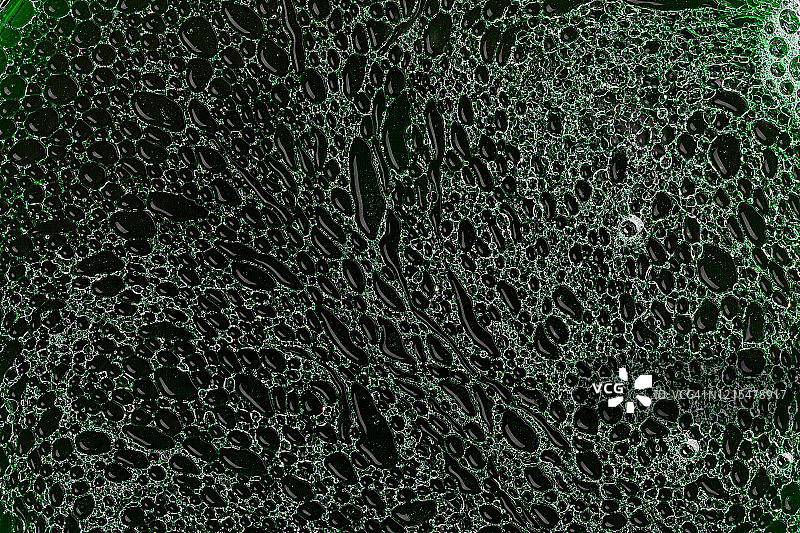 抽象翠绿色气泡纹理背景图片素材