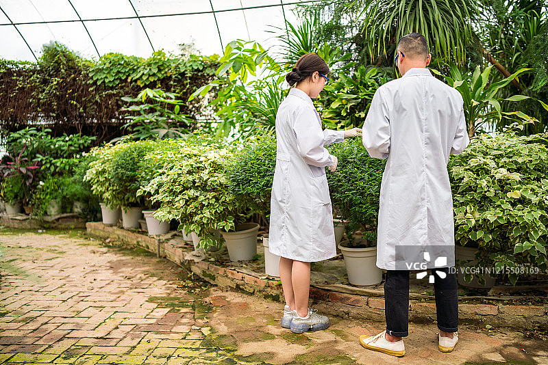 在温室中工作的亚洲科学家图片素材