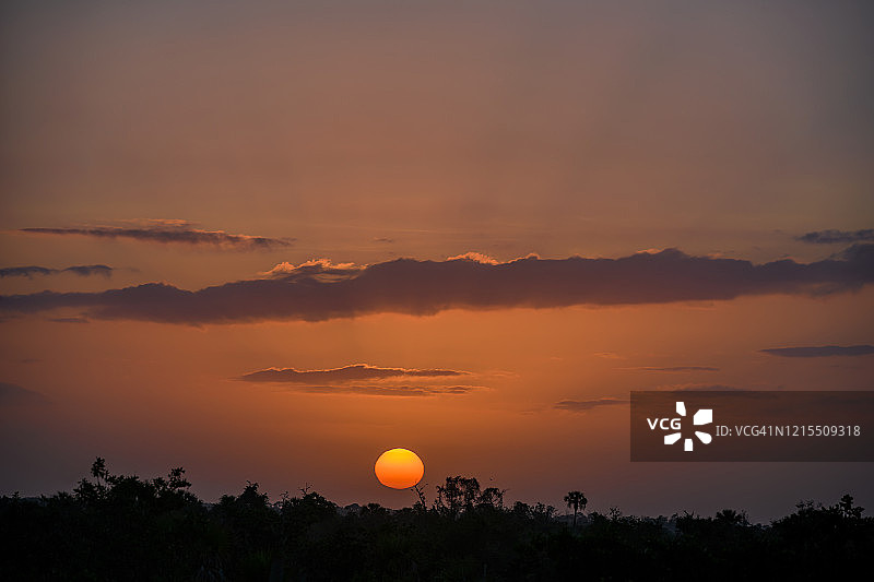 佛罗里达州那不勒斯附近，万岛国家野生动物保护区沼泽上空的日出图片素材