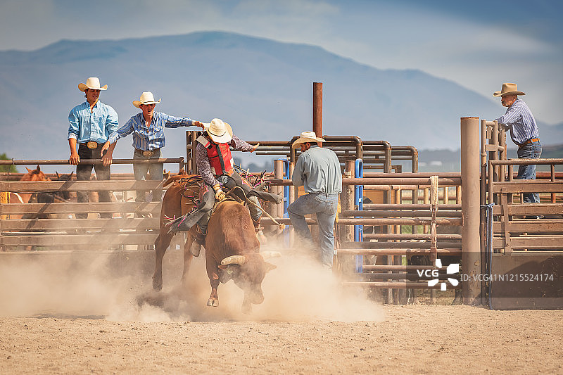 蛮牛牛仔竞技：美国无鞍骑牛图片素材