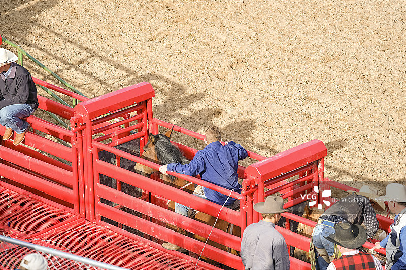 牛仔准备骑烈马图片素材