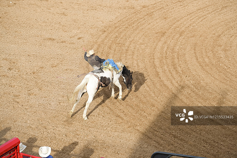 牛仔骑着烈马图片素材