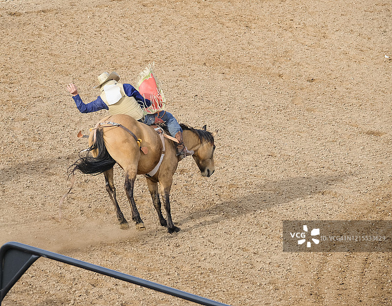 牛仔骑烈马图片素材
