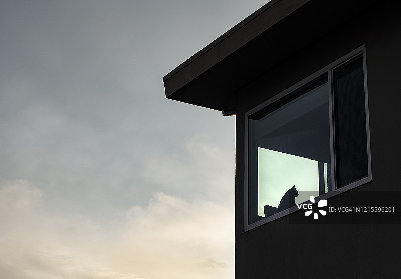 猫坐在窗边的剪影，美国加利福尼亚州图片素材