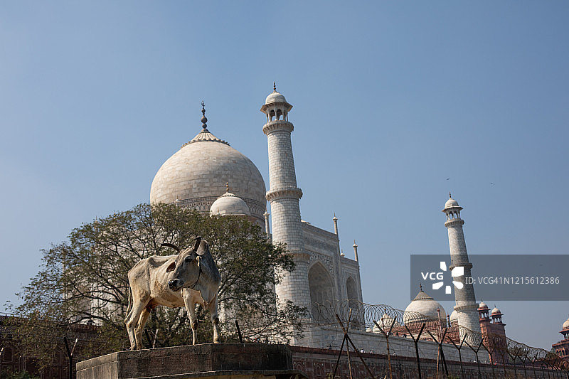 印度泰姬陵背面景观图片素材
