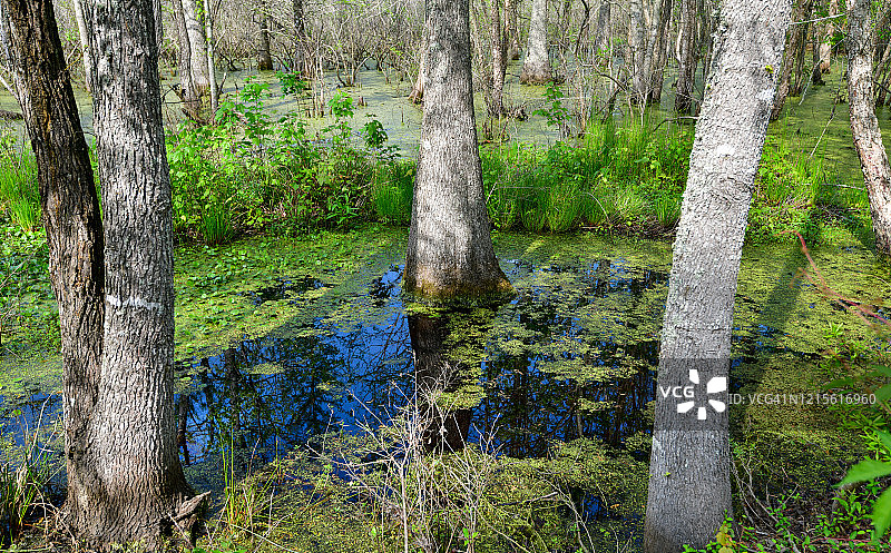 桑蒂国家野生动物保护区图片素材