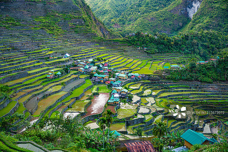 菲律宾伊富高省的巴达德梯田图片素材