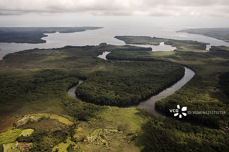 哥伦比亚的可卡地和可卡叶图片素材