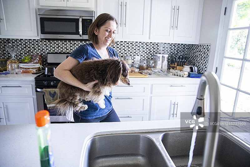 给长毛腊肠犬洗澡图片素材