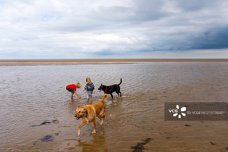 孩子们在海滩上抓螃蟹图片素材