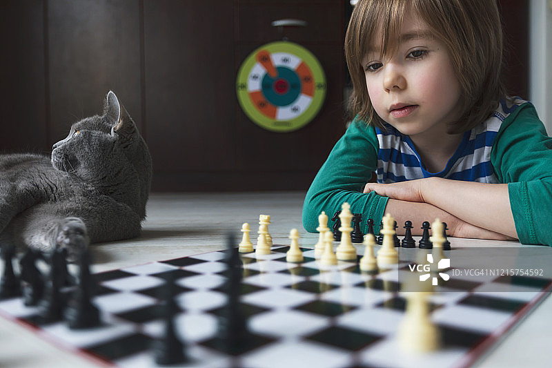 小男孩下国际象棋，旁边有猫图片素材