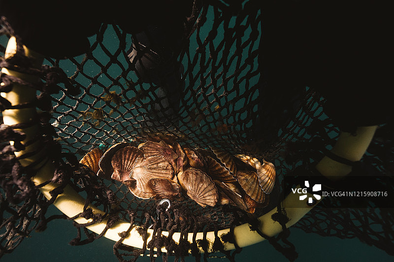 水下潜水员图片素材