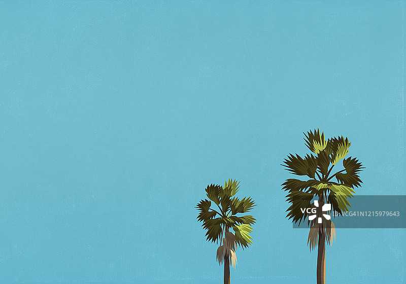 蓝天下的棕榈树图片素材