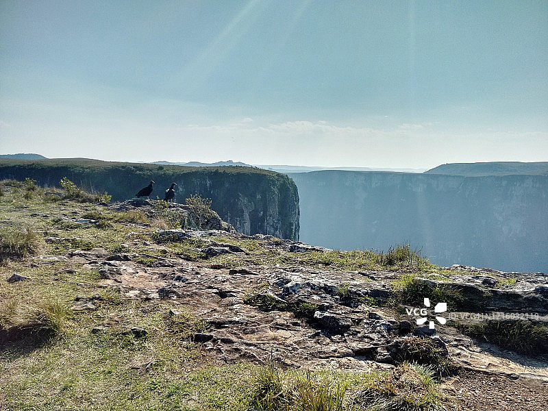 秃鹫观察峡谷图片素材
