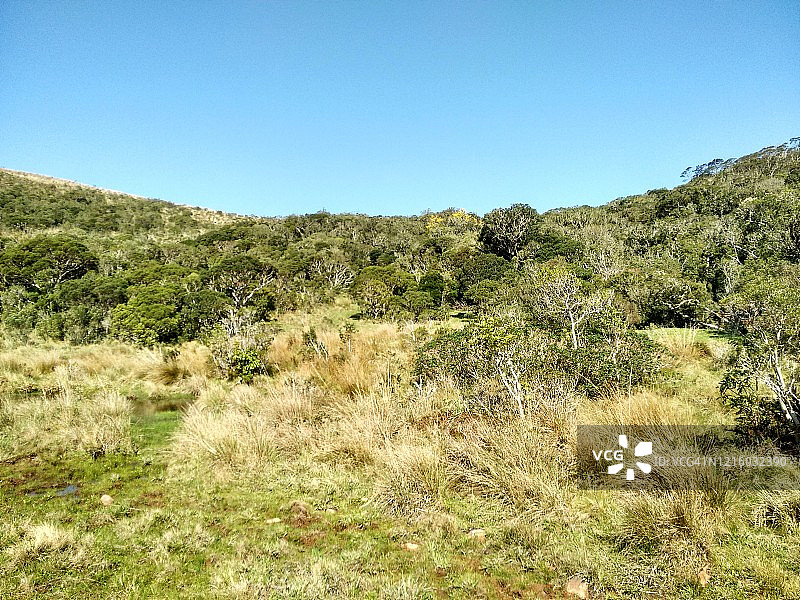 巴西塞拉格拉尔国家公园的自然保护区图片素材