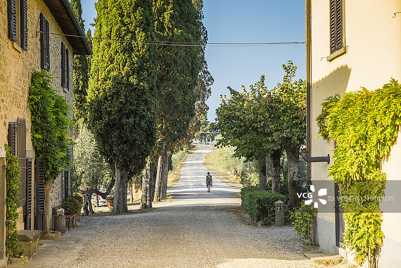 格雷韦伊恩基安蒂的圣托斯特凡诺农场图片素材