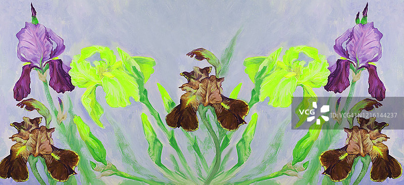 复古风格的春季油画：绽放的鸢尾花装饰风景图片素材
