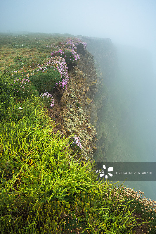 雾天的贝德鲁森台阶，靠近英国康沃尔郡纽基图片素材