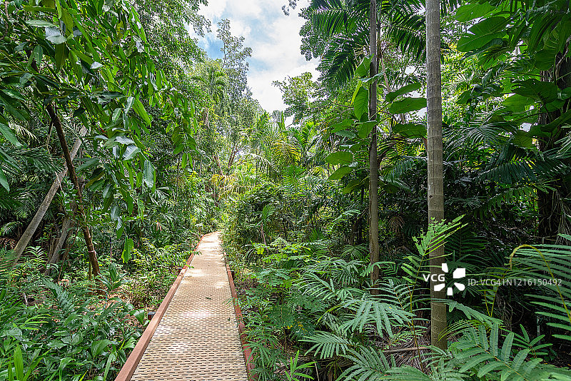 澳大利亚达尔文图片素材