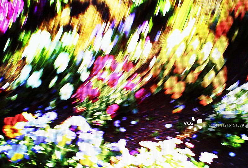 花坛中花朵的像素图像图片素材